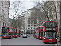 TQ3081 : Bus stops and bus stands, Aldwych by David Hawgood