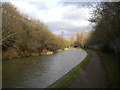 Walsall Canal, Pleck (6)