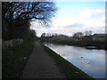 Walsall Canal, Birchills (4)