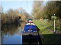 Moored boats, Kennet and Avon Canal