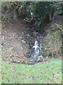 Stream south of Wigney