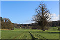 Wessex Ridgeway heading South East in Wardour Park