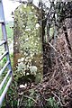 Benchmark on gatepost at field gateway NW of Edenhall Cottage