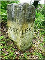 SX1657 : Old Guide Stone east of Lanreath at Trebant Water crossroads by Rosy Hanns