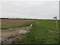 A Restricted Byway - Highfield Lane near North Lopham