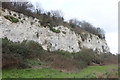 Grays chalk quarry nature reserve