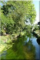 Crossing the Great Stour