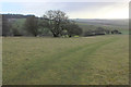 Country South of Great Ridge Wood