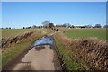 Shuttlesfield Lane towards Mill Down