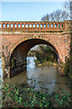 TQ1656 : Bridge over the River Mole - in flood  by Ian Capper