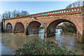 TQ1656 : Bridge over the River Mole - in flood by Ian Capper
