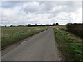 Common Road heading towards Limetree Farm