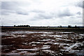 The Royal Portbury Dock prior to flooding