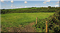 SS2507 : Farmland near Hersham by Derek Harper