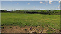 SS2507 : Farmland west of Hersham by Derek Harper