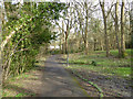 Footpath towards Stonequarry area of East Grinstead