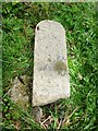 Old Milestone, broken by the A388, near Penscombe Farm