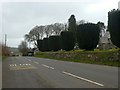 Topiary trees in the churchyard. Exford