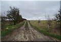 Farm track off Hunmanby Road, Burton Fleming