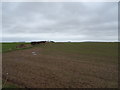 Field and hedgerow near Howe Farm