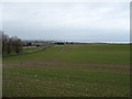 TA1175 : Field near Hallamfield by JThomas