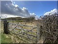 Farmland near Tor y Foel