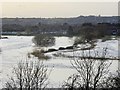 The Trent in flood
