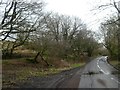 Scrubby trees and moorland east of Bale Water