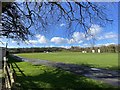 Cricket ground