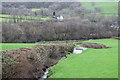 Tributary of Afon Cothi, near Frongoch