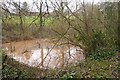SO6850 : Pond, Acton Beauchamp by Richard Webb