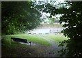 View from Top Path to Car Park at Annvale Glen