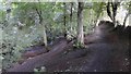 River from Top Path at Annvale Glen