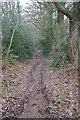 Sunken lane, Blackhouse Rough