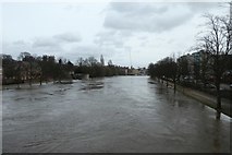 SE5952 : Ouse in flood by DS Pugh