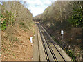 Railway looking north, Dormans Park