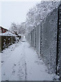 Ginnel between Thorn Drive and Thorn Lane