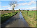 Tanns Lane heading in the direction of North Lopham