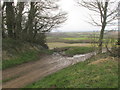 Farm track beside the footpath