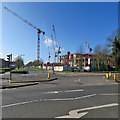 Cranes on the West Cambridge Site