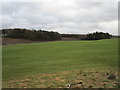 Woodland and grassland near Thornhill