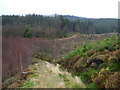 Forest track sign at Sligrachan