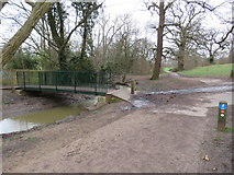 TQ3298 : Path and bridge in Hilly Fields Park, near Enfield by Malc McDonald