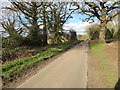 Sallow Lane at Mill Common