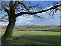SO0357 : Powys Countryside by Alan Hughes