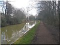 Chesterfield Canal near Rhodesia