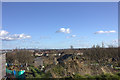 View over allotments, looking southeastwards