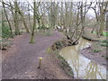 Path alongside Turkey Brook, near Enfield