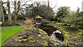 Japanese garden at Hill Court