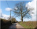 Lane to Littleborough